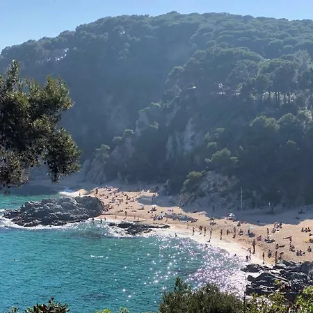 2 Avinguda Santa Clotilde * 滨海略雷特